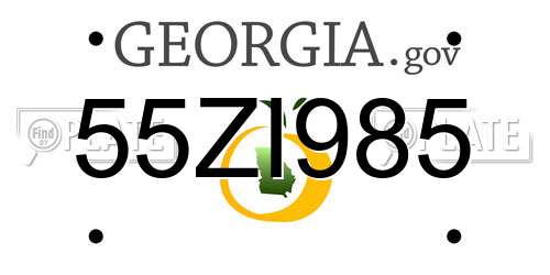 55ZI985 Georgia License Plate
