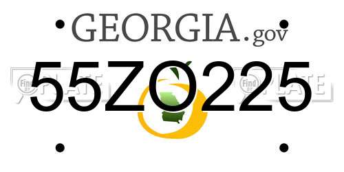 55ZO225 Georgia License Plate