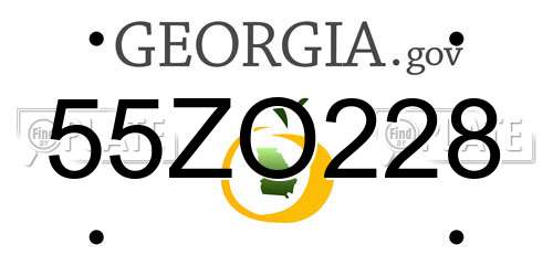55ZO228 Georgia License Plate
