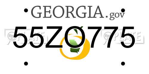 55ZO775 Georgia License Plate