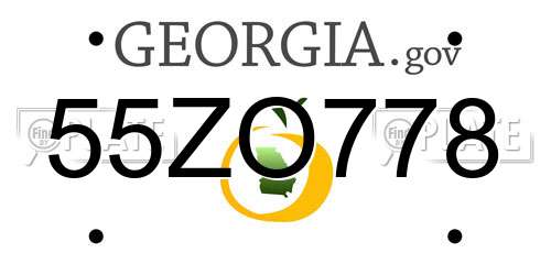 55ZO778 Georgia License Plate