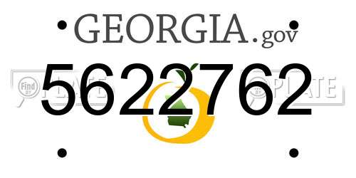 5622762 Georgia License Plate