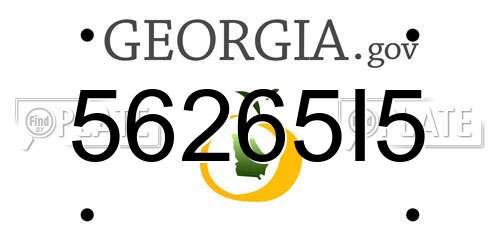 56265I5 Georgia License Plate