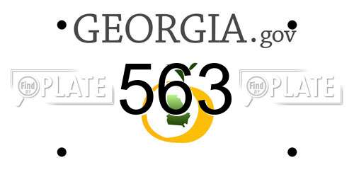 563 Georgia License Plate