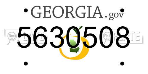 5630508 Georgia License Plate