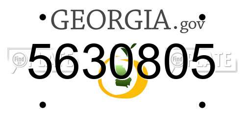 5630805 Georgia License Plate
