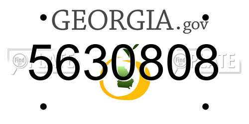 5630808 Georgia License Plate