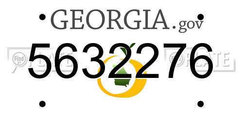 5632276 Georgia License Plate
