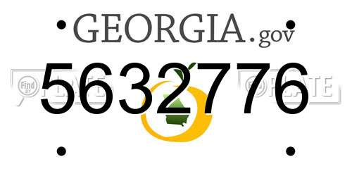 5632776 Georgia License Plate
