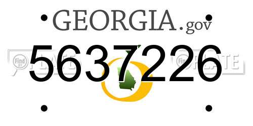 5637226 Georgia License Plate