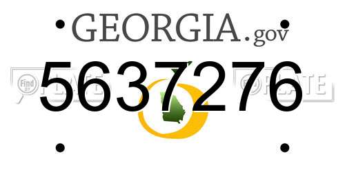 5637276 Georgia License Plate