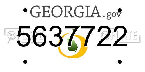 5637722 Georgia License Plate