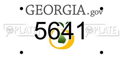 5641 Georgia License Plate