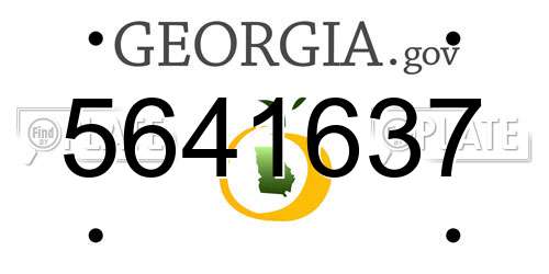 5641637 Georgia License Plate