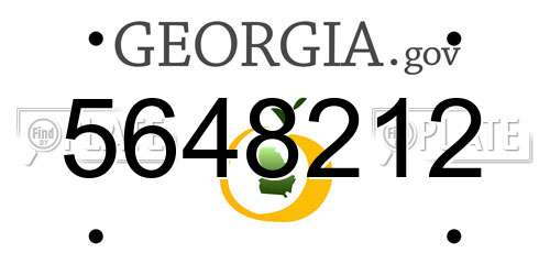 5648212 Georgia License Plate