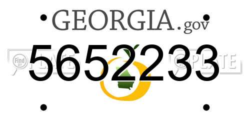 5652233 Georgia License Plate
