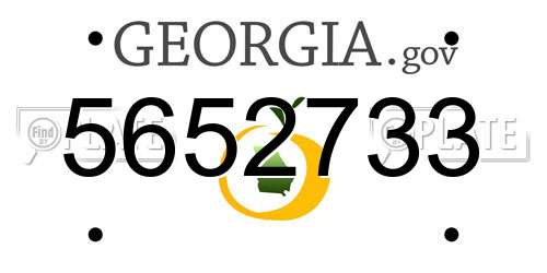 5652733 Georgia License Plate