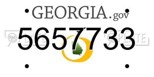 5657733 Georgia License Plate