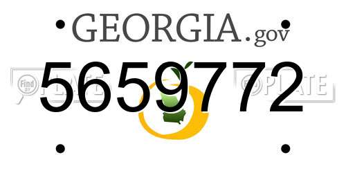 5659772 Georgia License Plate