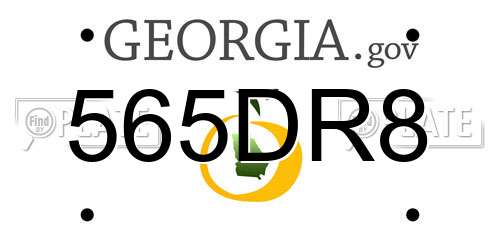 565DR8 Georgia License Plate