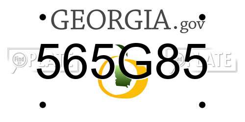 565G85 Georgia License Plate