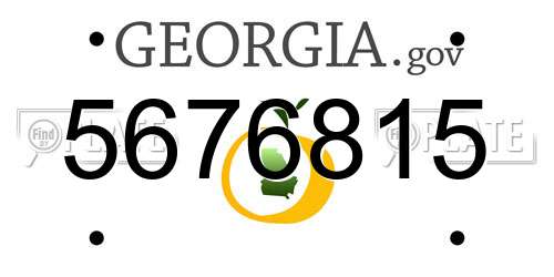 5676815 Georgia License Plate