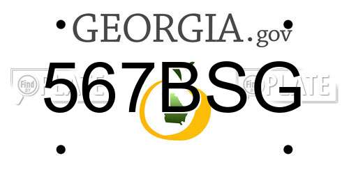 567BSG Georgia License Plate