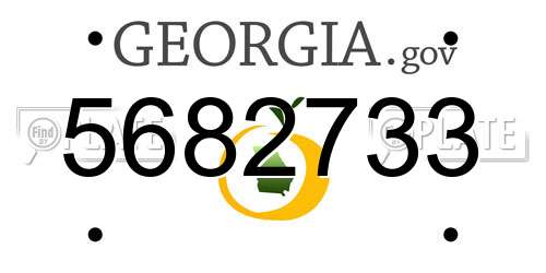 5682733 Georgia License Plate