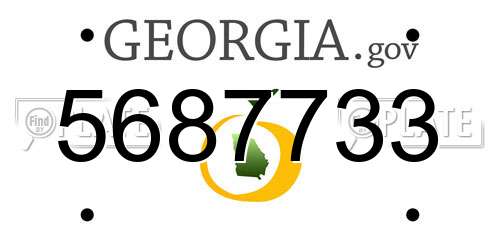5687733 Georgia License Plate