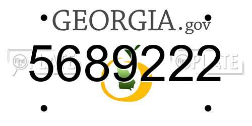 5689222 Georgia License Plate