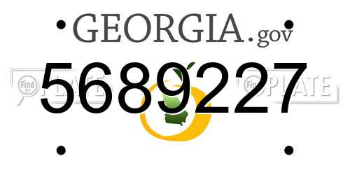 5689227 Georgia License Plate