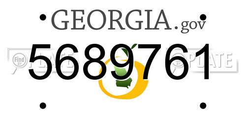 5689761 Georgia License Plate