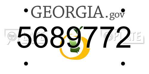 5689772 Georgia License Plate