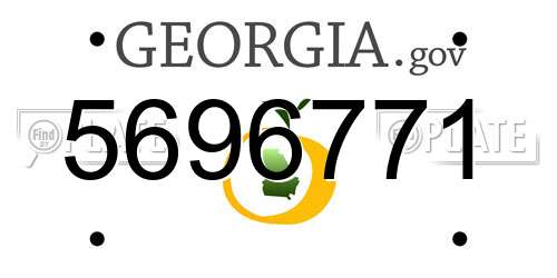 5696771 Georgia License Plate