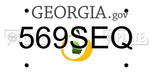 569SEQ Georgia License Plate