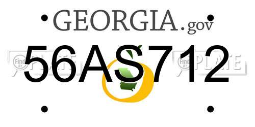 56AS712 Georgia License Plate