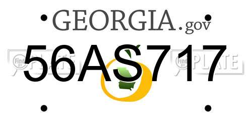 56AS717 Georgia License Plate