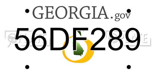 56DF289 Georgia License Plate