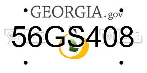 56GS408 Georgia License Plate