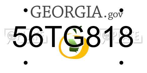 56TG818 Georgia License Plate