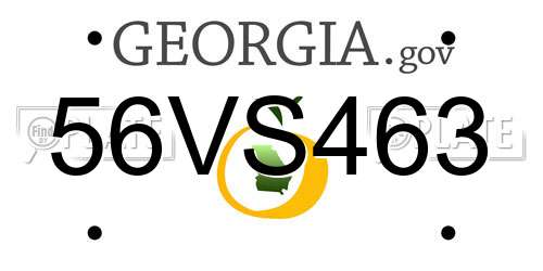 56VS463 Georgia License Plate