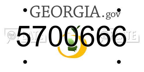 5700666 Georgia License Plate