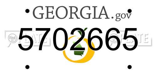 5702665 Georgia License Plate