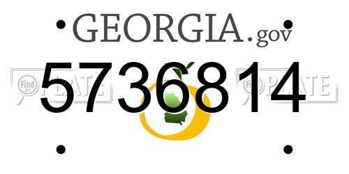 5736814 Georgia License Plate