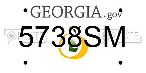 5738SM Georgia License Plate