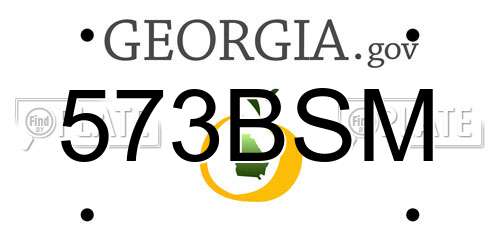 573BSM Georgia License Plate