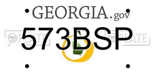 573BSP Georgia License Plate
