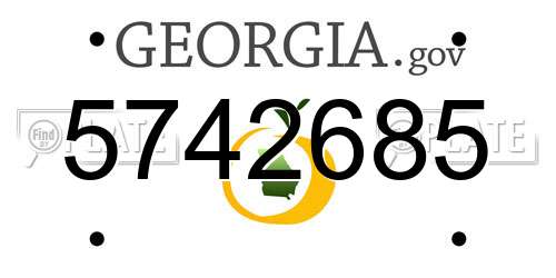 5742685 Georgia License Plate