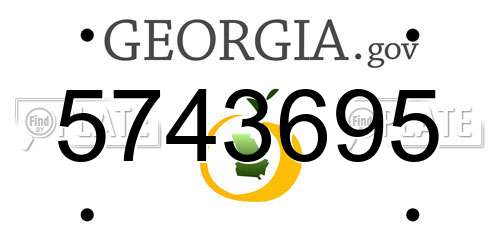 5743695 Georgia License Plate