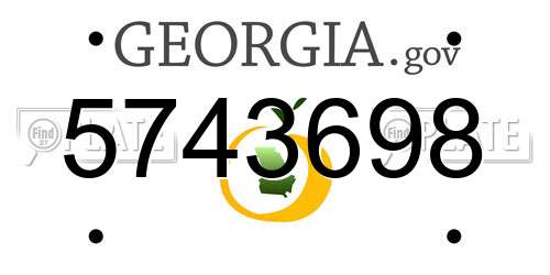 5743698 Georgia License Plate